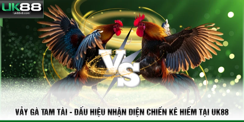 Vảy gà tam tài